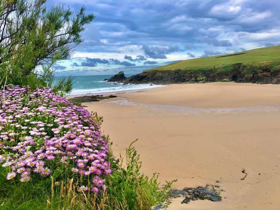 Trevone Bay Seaside For 4 - Close To And Casa de férias Padstow