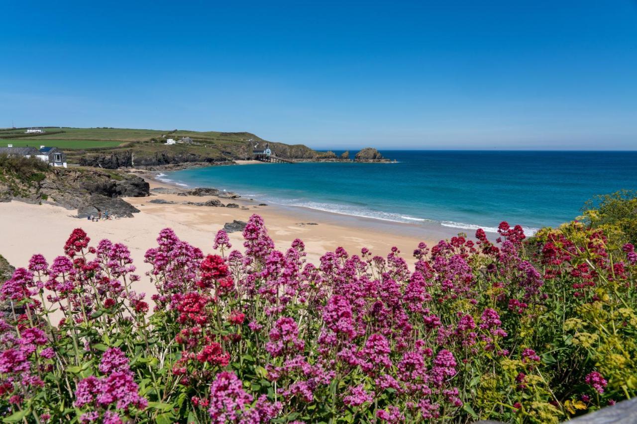 Tor View Padstow