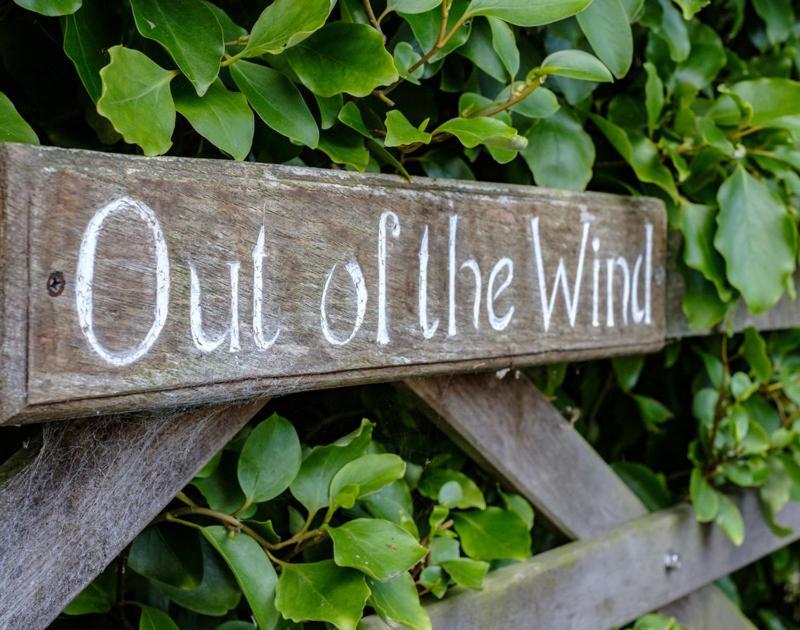 Out Of The Wind * Padstow