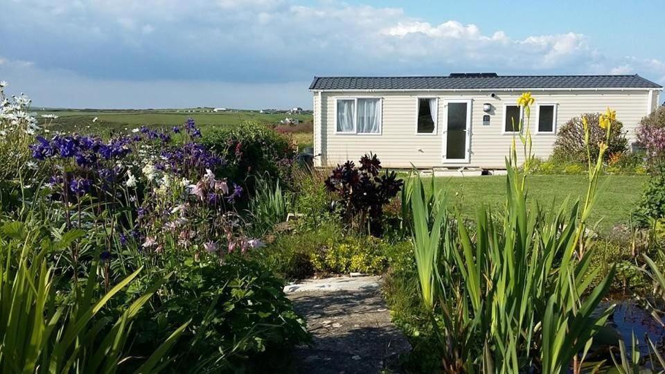 Holiday home Golden Burn Caravan *