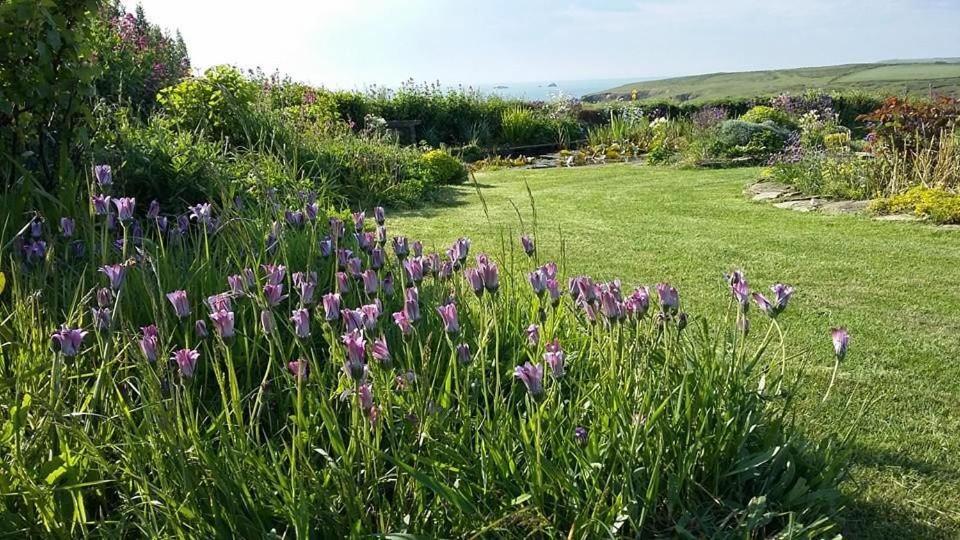 Holiday home Golden Burn Caravan Padstow
