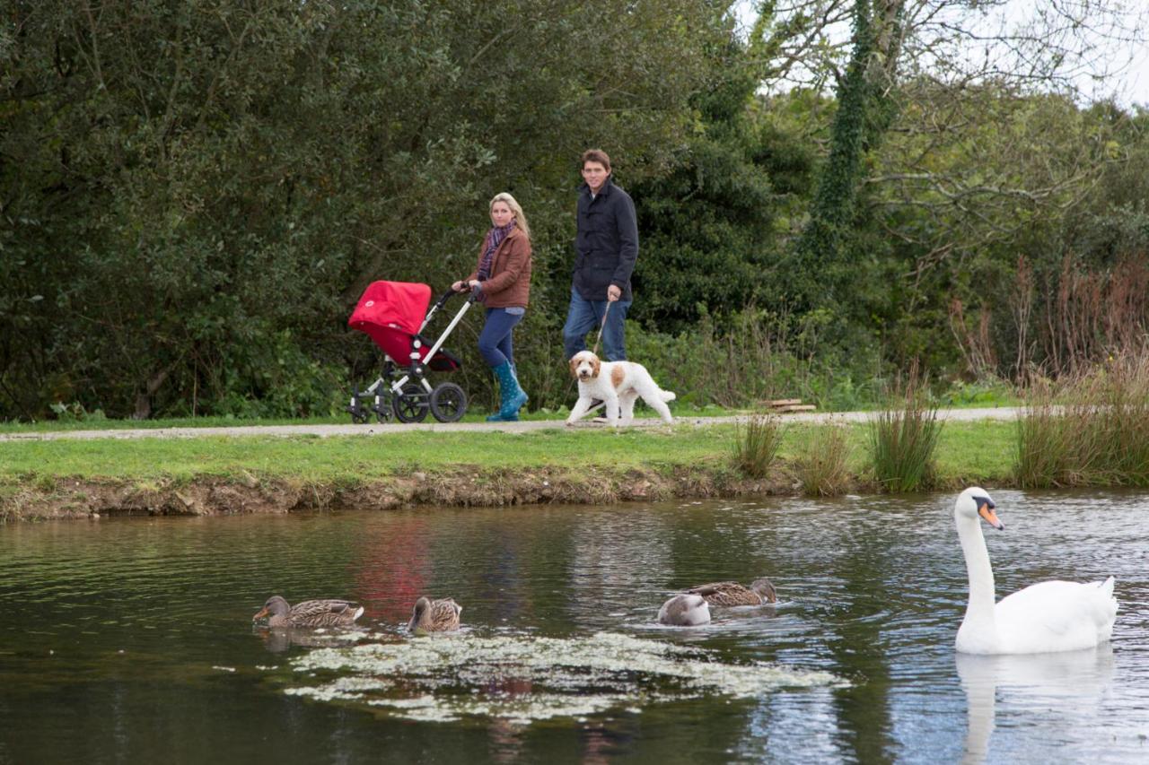 Swallow With Hot Tub, Dogs Welcome Sleeps 8, Great Facilities Padstow