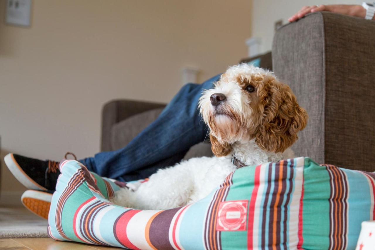 Swallow With Hot Tub, Dogs Welcome Sleeps 8, Great Facilities Padstow