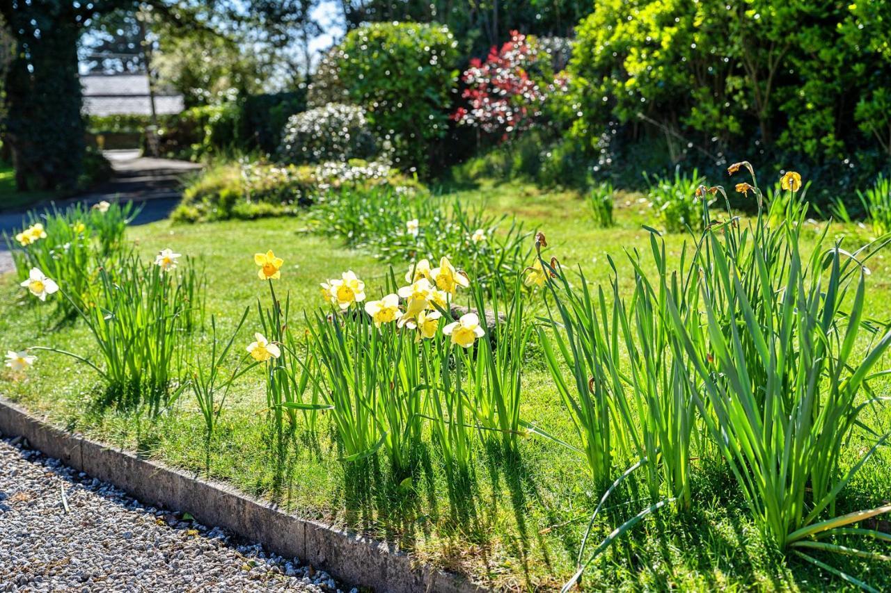Finest Retreats - Sunny Nook * Padstow
