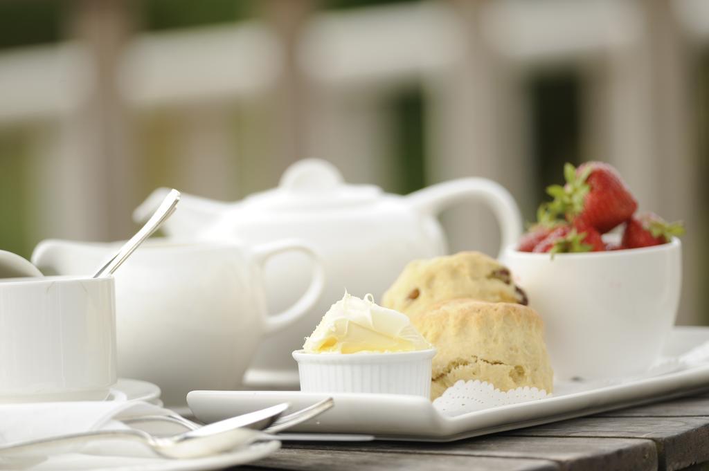 Hotel Treglos 4*