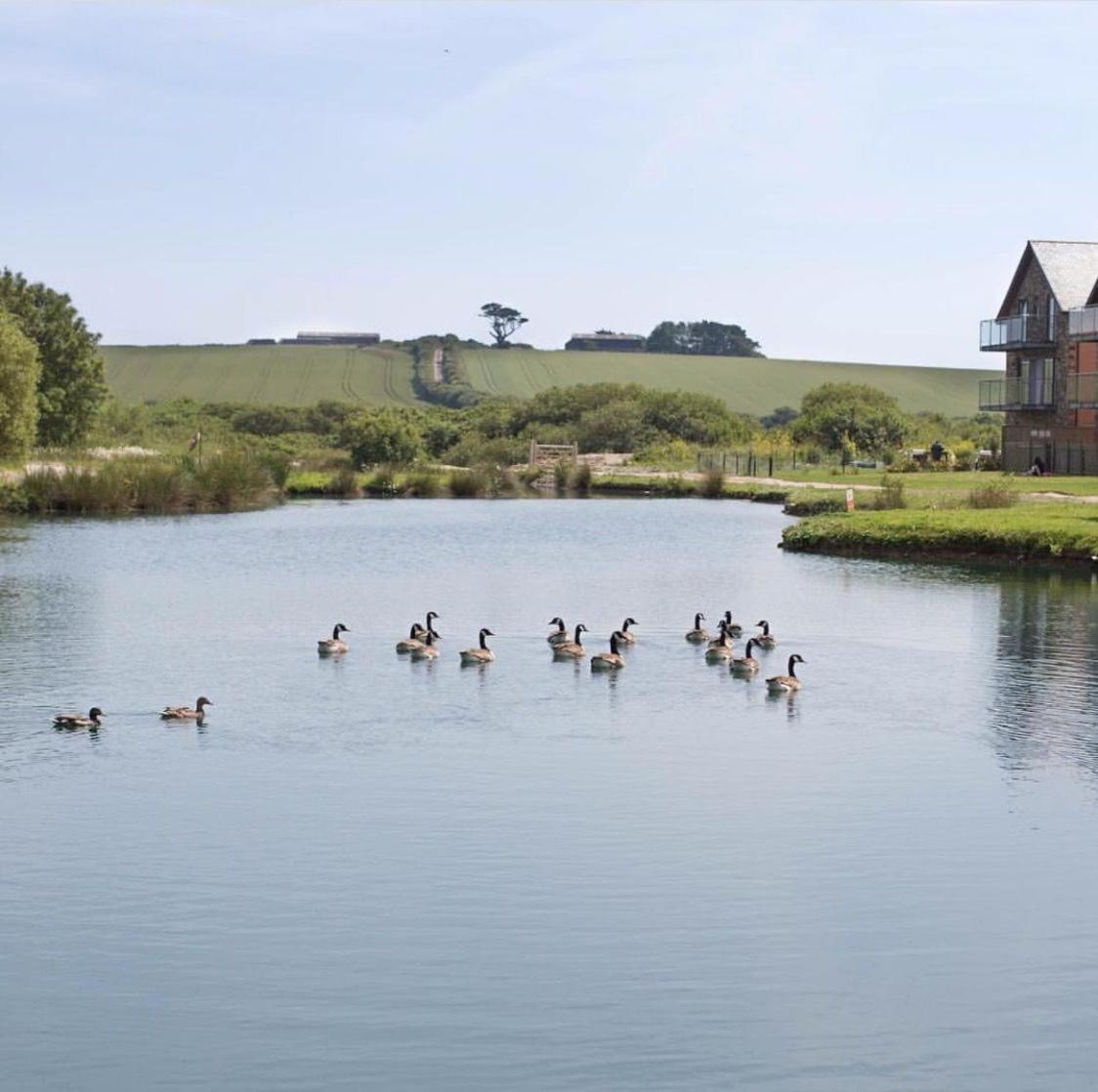 Waveside-waterside With Hot Tubresort Poolgym * Padstow