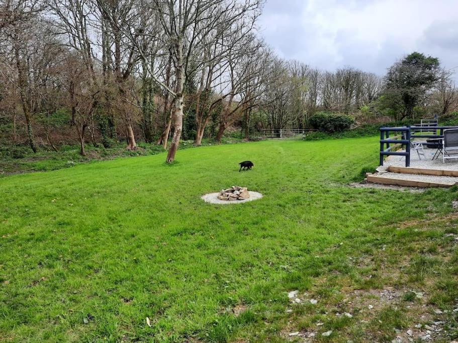 Apartment Beautiful Near Padstow