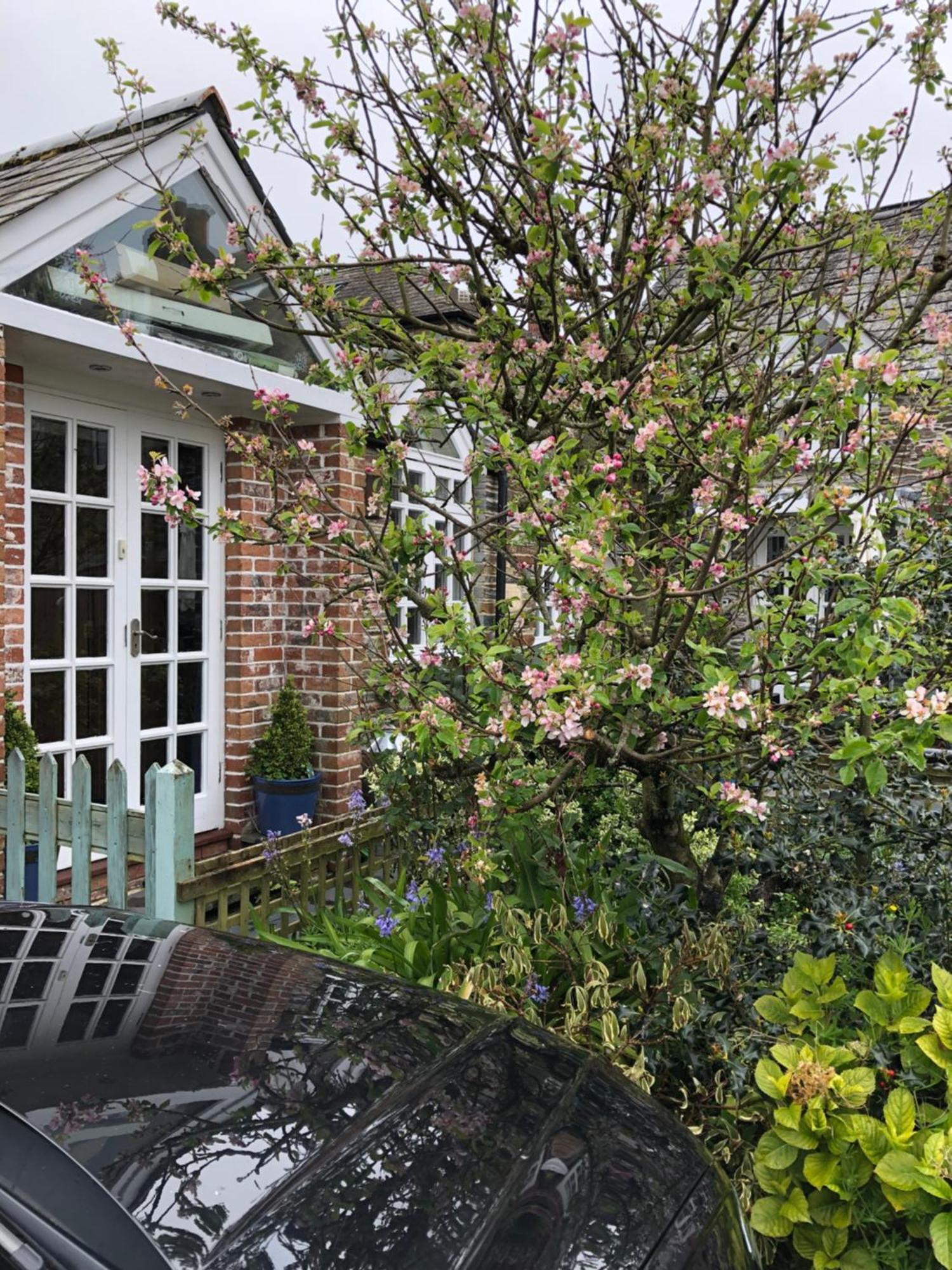 The Nook Apartment Padstow