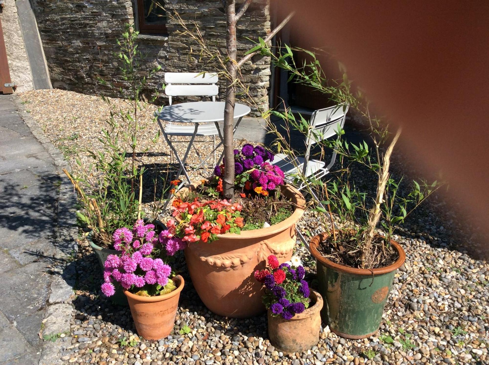 Bed & Breakfast St Petroc's