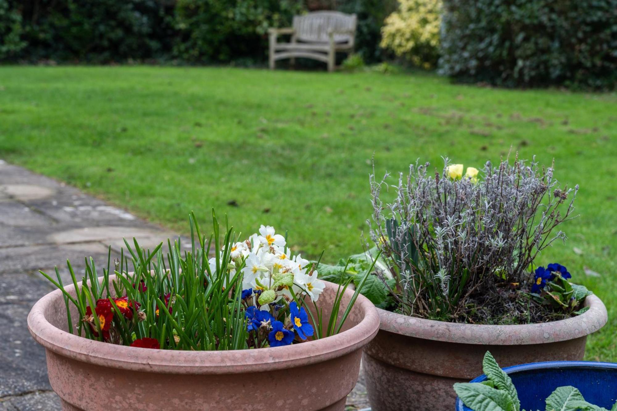 Holiday home Finest Retreats - Sunny Nook Padstow