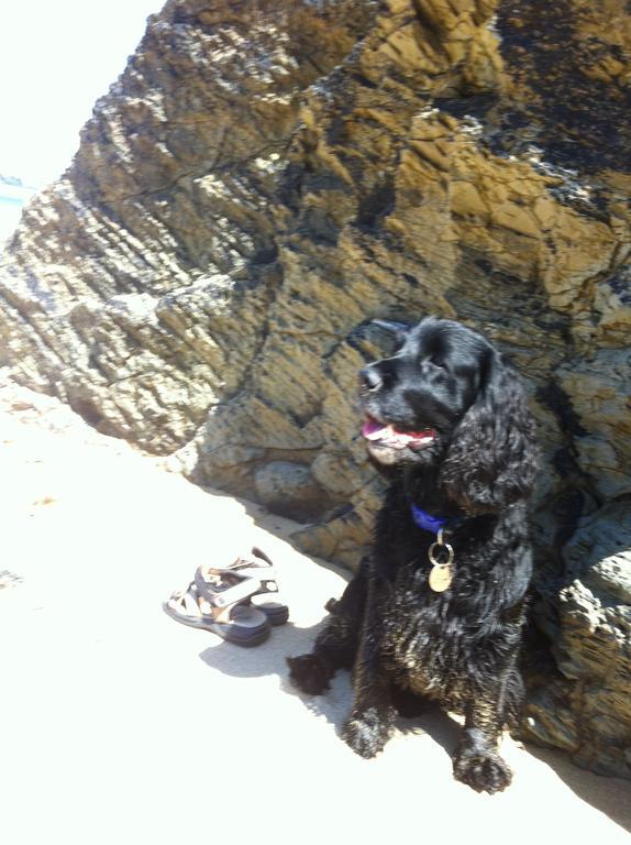 Cally Croft Padstow