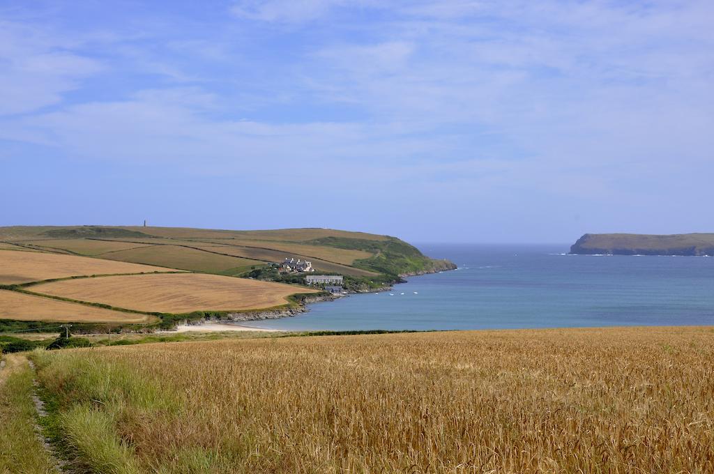 Bed & Breakfast Althea Library Padstow